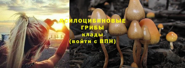 мяу мяу мука Кукмор