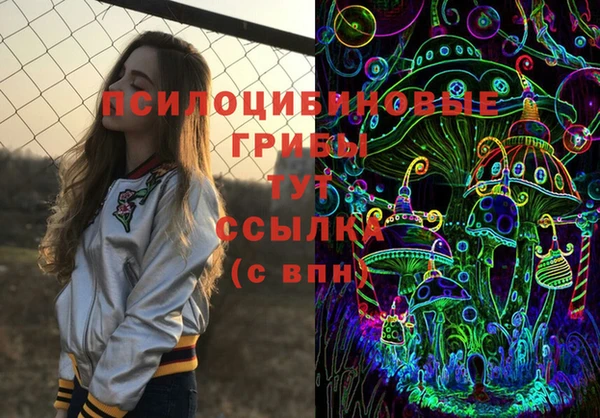 мяу мяу мука Кукмор