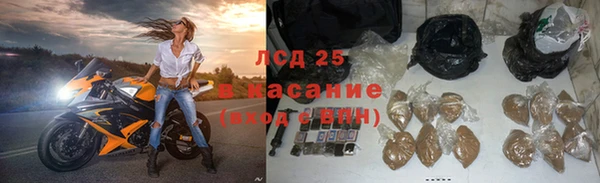 сатива Куйбышев
