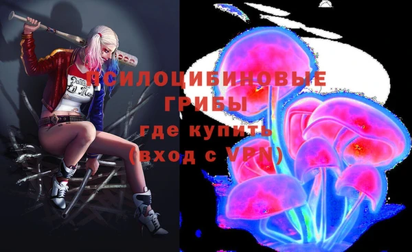 прущие крисы Краснослободск