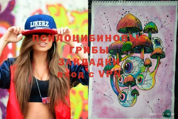 ГАЛЛЮЦИНОГЕННЫЕ ГРИБЫ Кулебаки