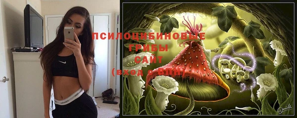 прущие крисы Краснослободск
