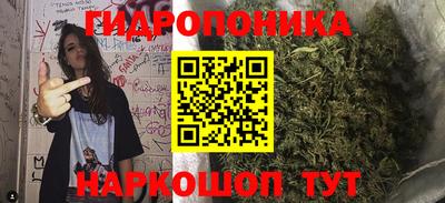 крисы Ирбит