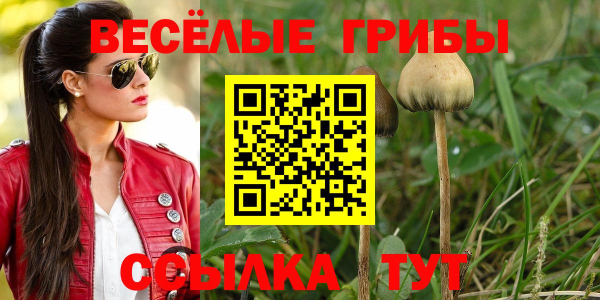 Галлюциногенные грибы GOLDEN TEACHER  Туймазы 