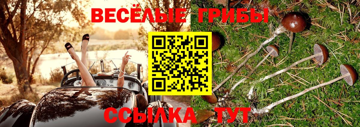 Галлюциногенные грибы прущие грибы  Вход с VPN  Туймазы 